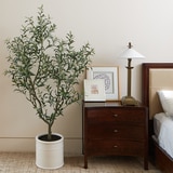 올리브 나무 인조 식물 2m 올리브 나무 인조 식물 2m