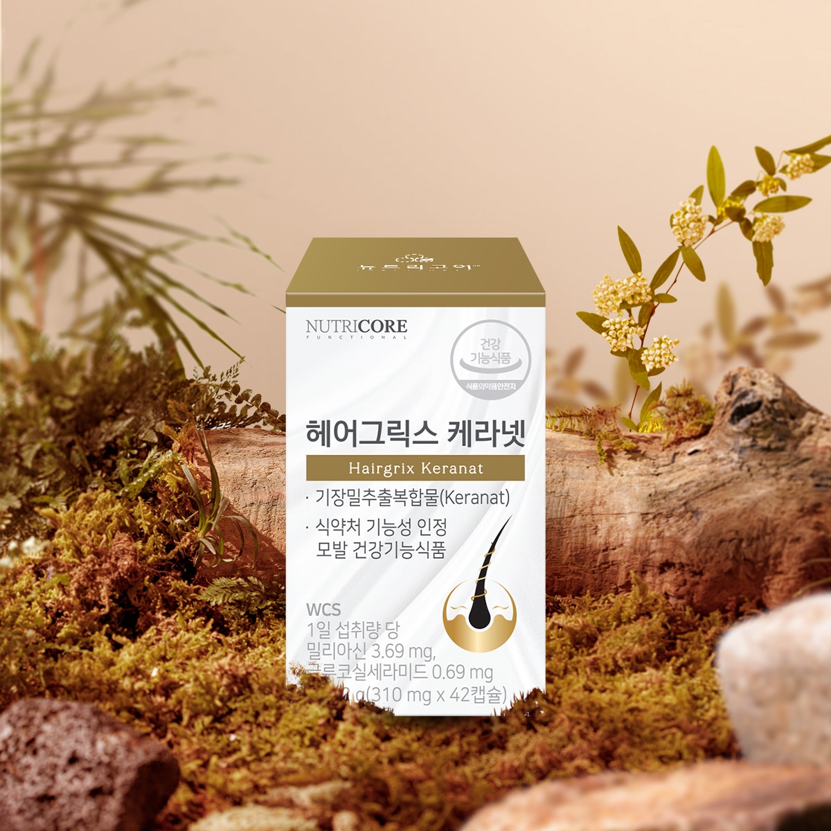 뉴트리코어헤어그릭스케라넷 42캡슐