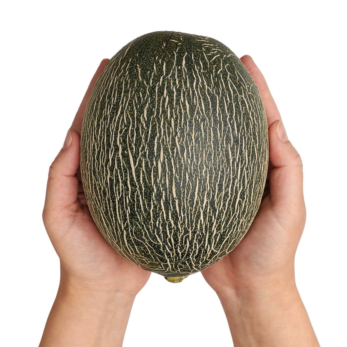 하미과 멜론 3KG