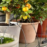 가데나 홀리데이 워터링 세트