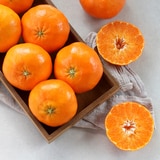 제주 레드향 선물세트 3kg 6~9입