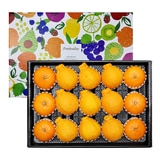 천혜향&한라봉세트5kg