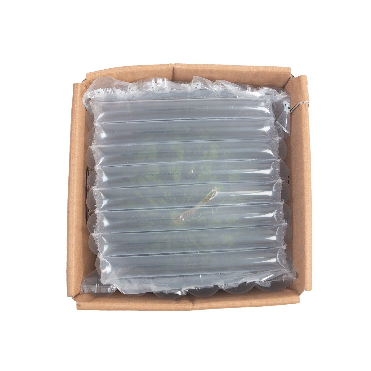 수박7kg 미만