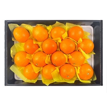 황금향 5kg (15-22입 이내) 황금향 5kg (15-22입 이내)