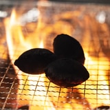 파이어폭스 야자숯 착화탄 1kg x 5