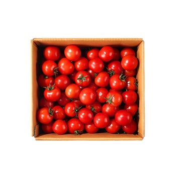 루비리코 토마토 4kg 루비리코 토마토 4kg