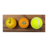 제주 불로초 감귤세트 5kg