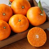 천혜향 & 레드향세트5kg