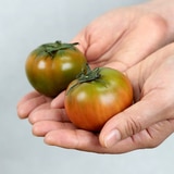 대저 토마토 5kg (2.5kg x 2 박스)