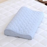 April At Home 고밀도 워싱면 방수 메모리폼 낮은베개 - 블루