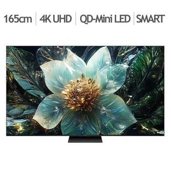 TCL QD-Mini LED TV Q9B 165cm (65), 스탠드형