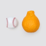 제주 한라봉 선물세트 3kg (6~9입)