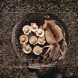 파이어폭스 BBQ 석쇠 5개입 / 최소구매 2