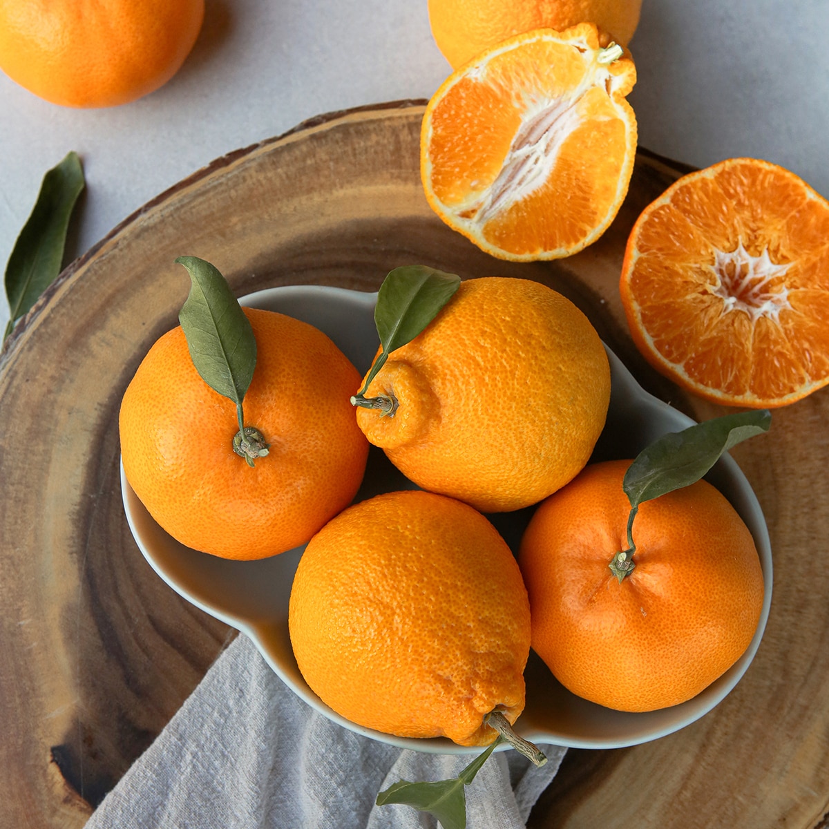 천혜향&한라봉세트5kg