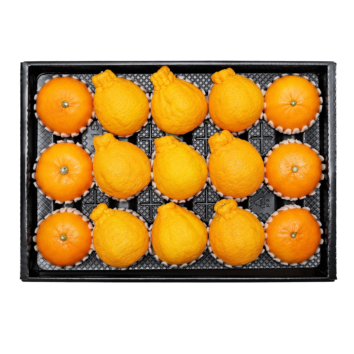 천혜향&한라봉세트5kg