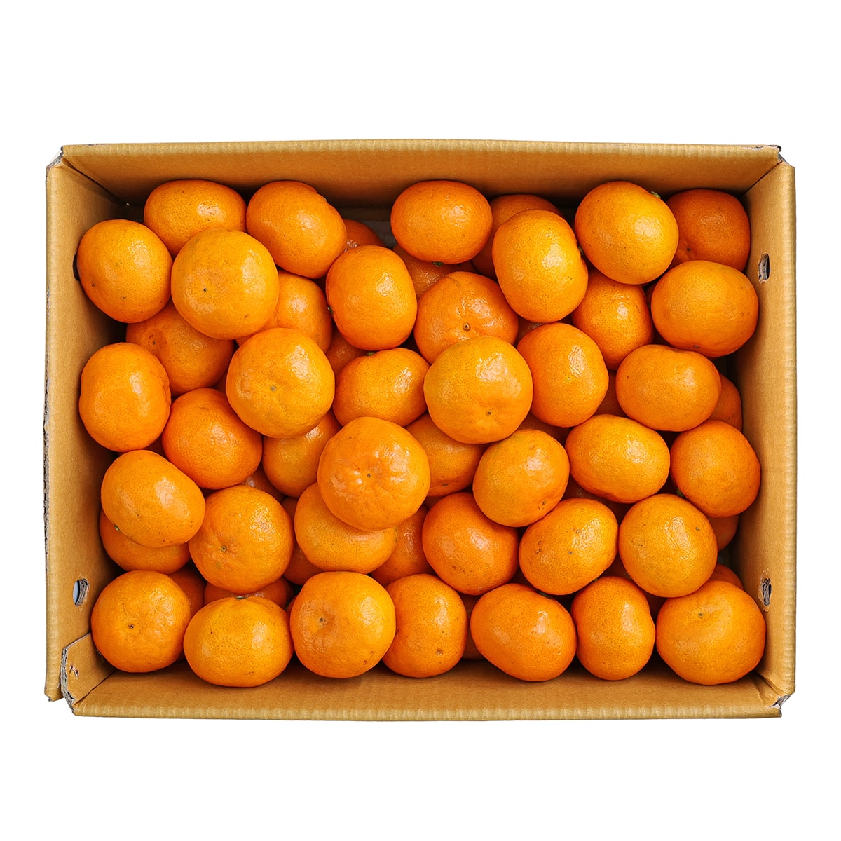 귤림원 감귤세트 5kg