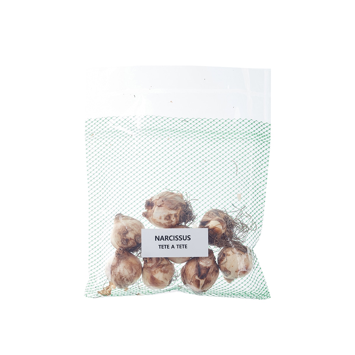 수선화 구근 / 최소구매 2 - 테테아테테 수선화 구근 / 최소구매 2 - 테테아테테