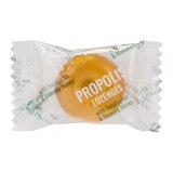 트루블루 프로폴리스 마누카허니 로젠지스 800g 트루블루 프로폴리스 마누카허니 로젠지스 800g