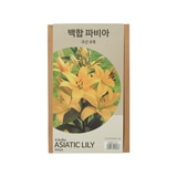 릴리 아시아틱 구근 / 최소구매 2 릴리 아시아틱 구근 / 최소구매 2