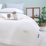 April At Home 앤더슨 양모 워싱 스프레드 - 퀸, 화이트