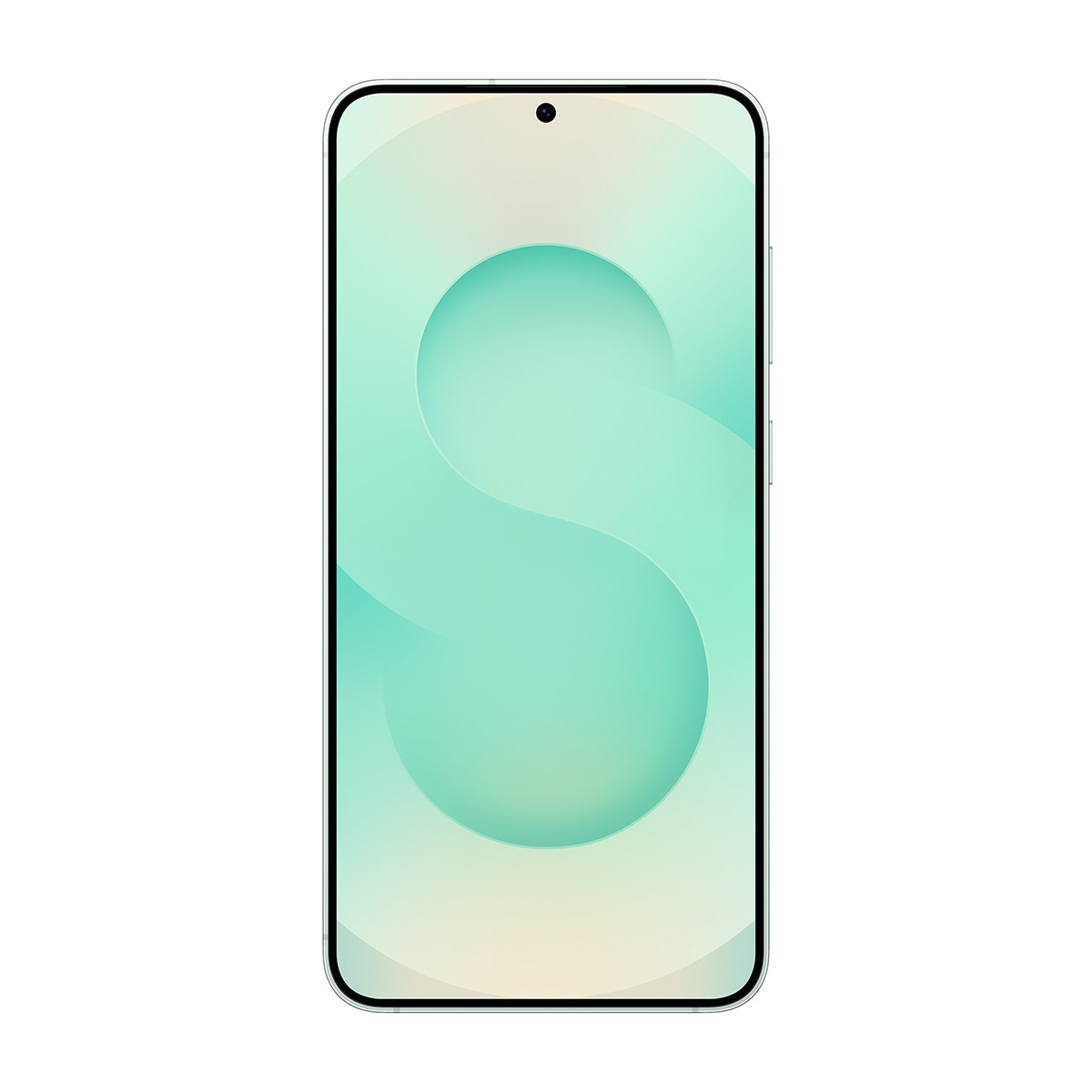 삼성 갤럭시 S25 플러스 256GB 5G - 민트