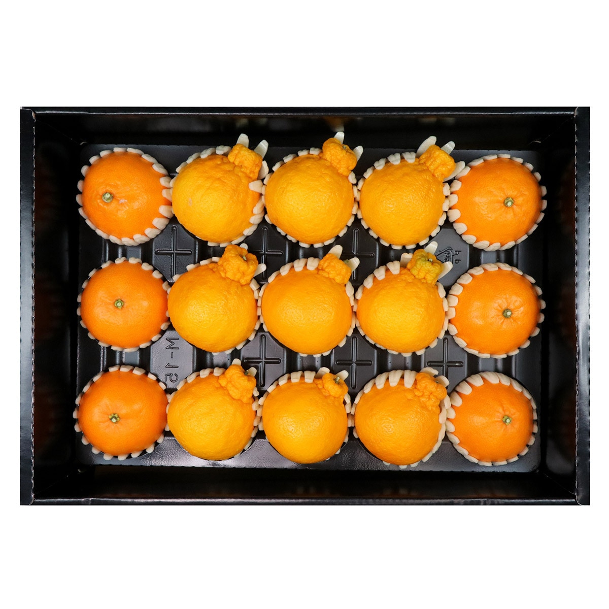 천혜향&한라봉세트5kg