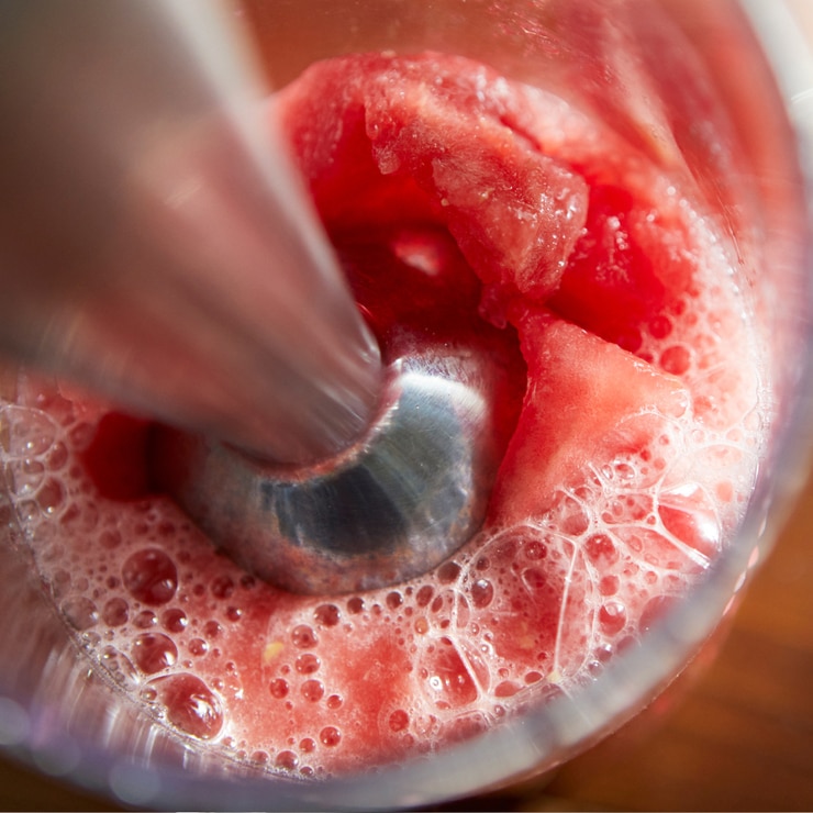 필립스 데일리 핸드블렌더 HR2534/90