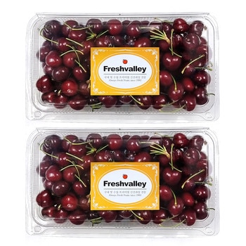 칠레 체리 3kg 칠레 체리 3kg