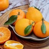 제주 3색 명품 선물세트 3kg (천혜향 3,레드향 3,한라봉 3)