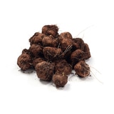 리아트리스 구근 / 최소구매 2 리아트리스 구근 / 최소구매 2