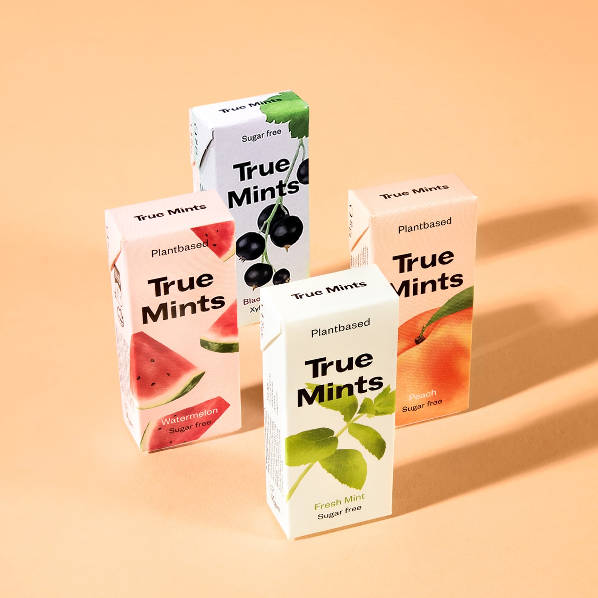 True Mints 민트 캔디4종 234g / 13g x 18