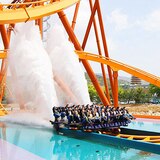 경주월드 소인 1일 이용권