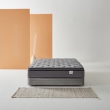 씰리 멜리사 플러스 유로탑 매트리스 세트 - 칼킹