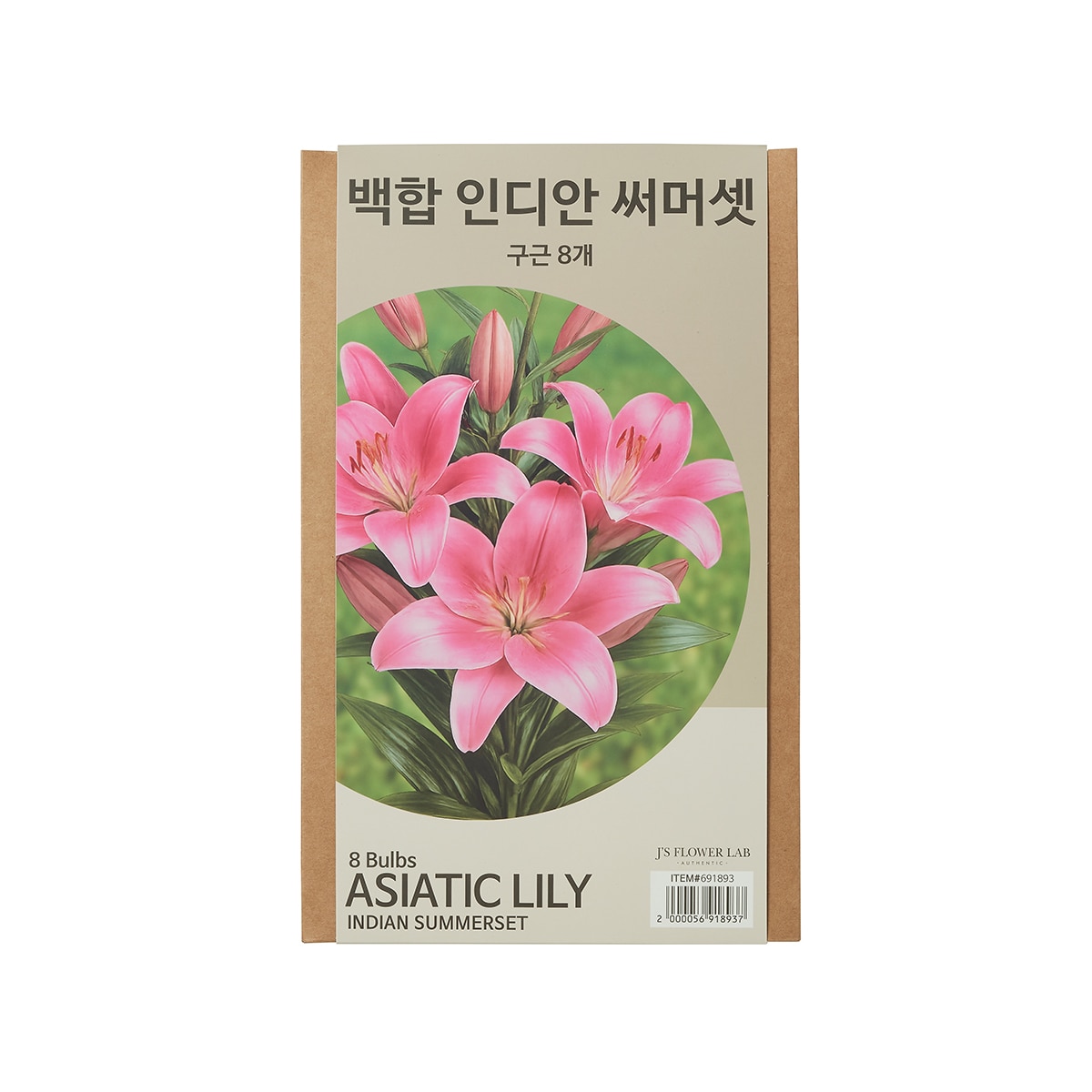 릴리 아시아틱 구근 / 최소구매 2 릴리 아시아틱 구근 / 최소구매 2