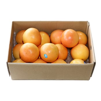 남아공 자몽16입 (6.4kg 내외)