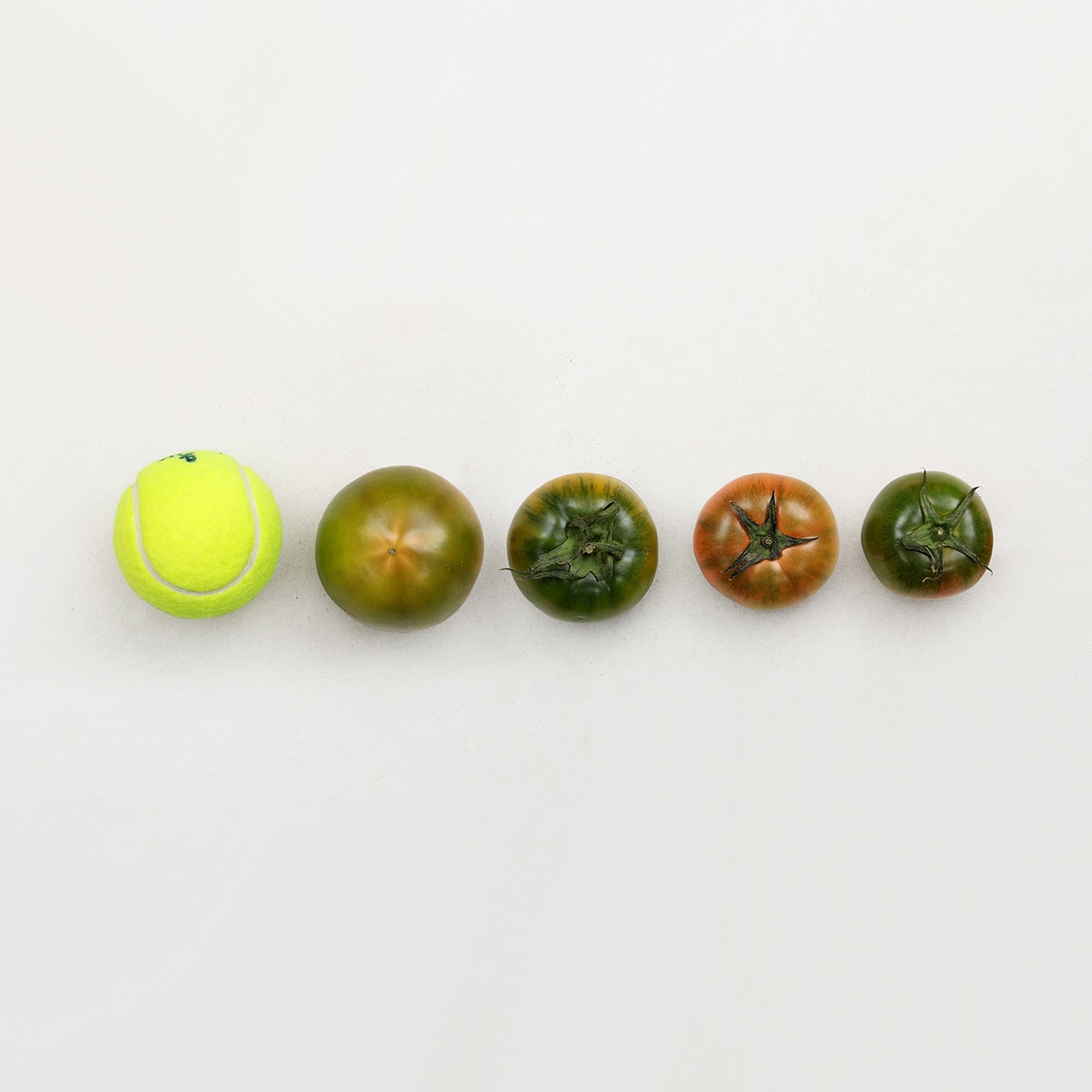 대저 토마토 5kg (2.5kg x 2 박스)