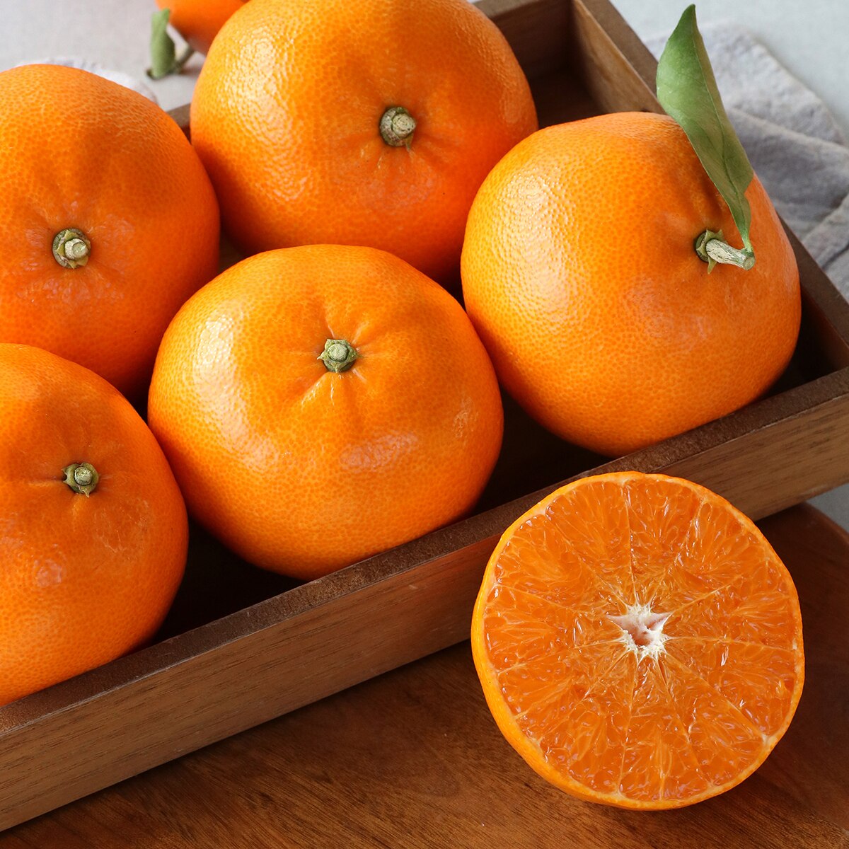 천혜향 & 레드향세트5kg