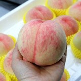 부드러운 복숭아 4KG (14 ~ 16입)