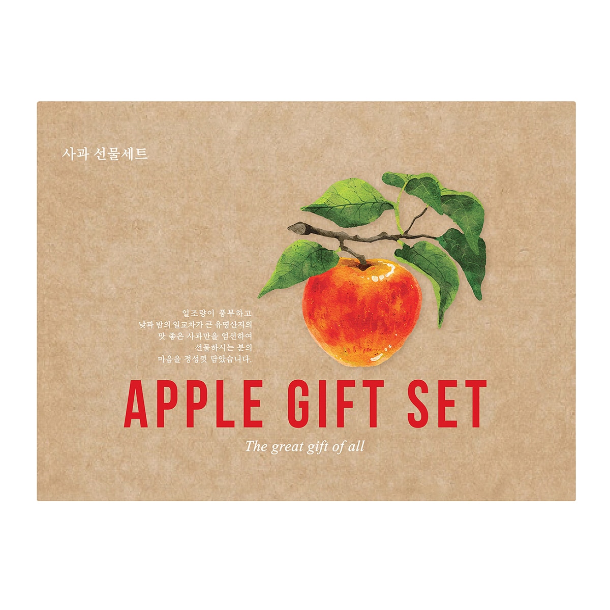 사과 선물세트 4kg (15입이내)