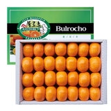 제주 불로초 감귤세트 5kg