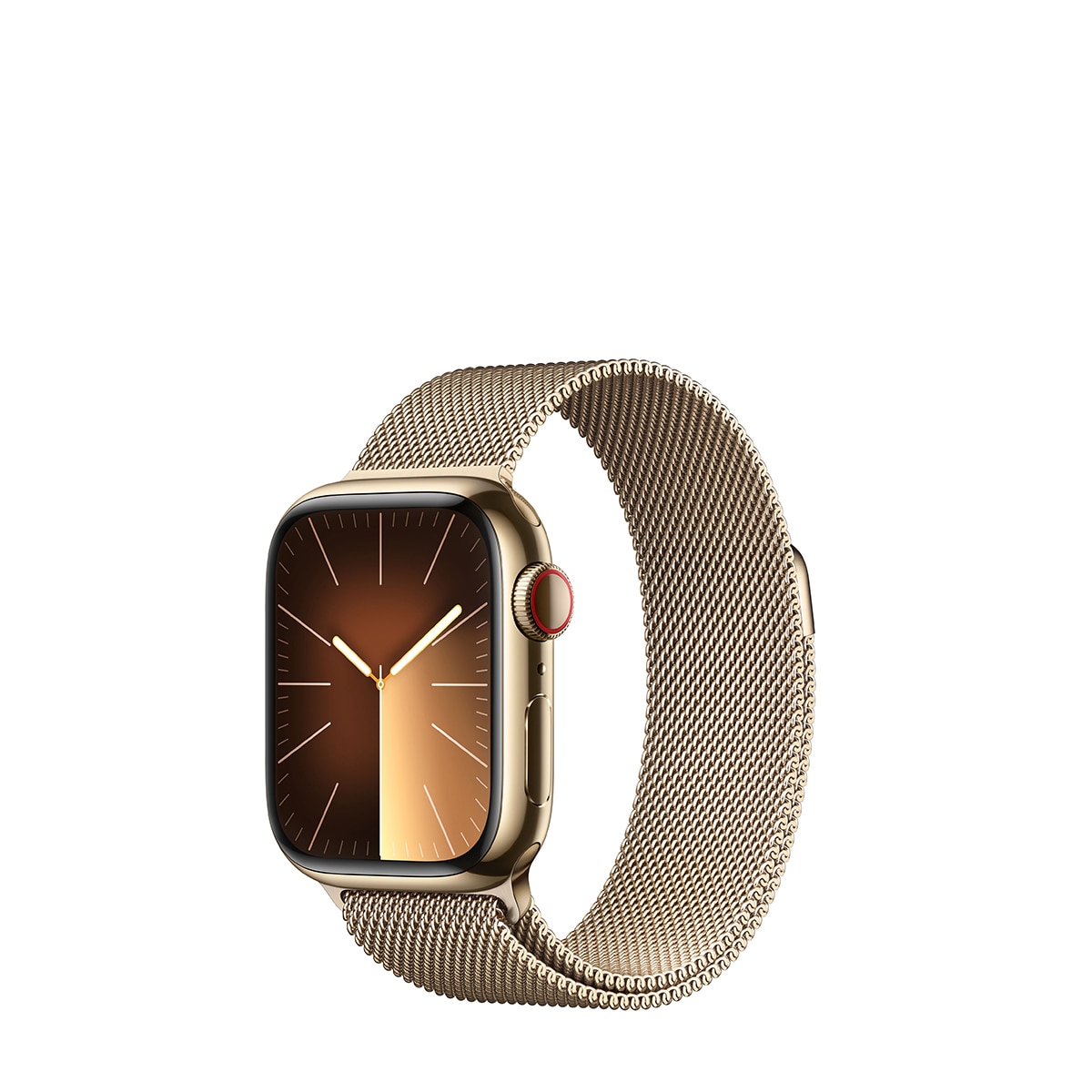 Apple Watch Series 9 41mm 스테인리스 케이스