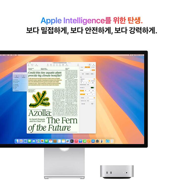 Apple 맥 미니 M4 , CPU 10, GPU 10, 16GB, 512GB Apple 맥 미니 M4 , CPU 10, GPU 10, 16GB, 512GB