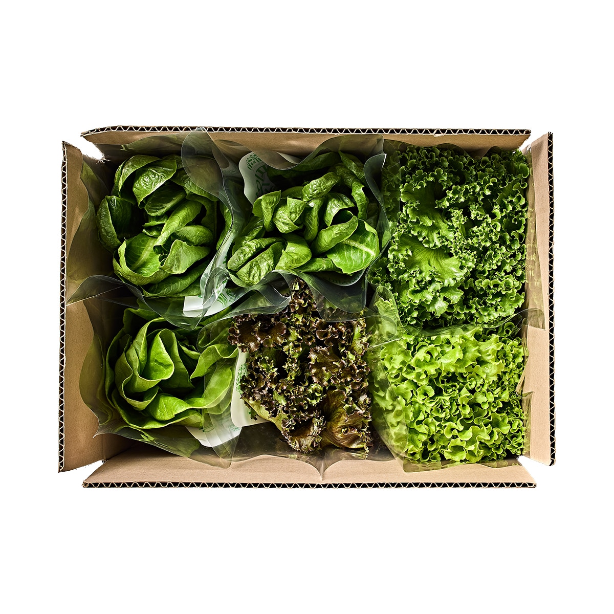 유러피언 쌈채소 5종(440g)