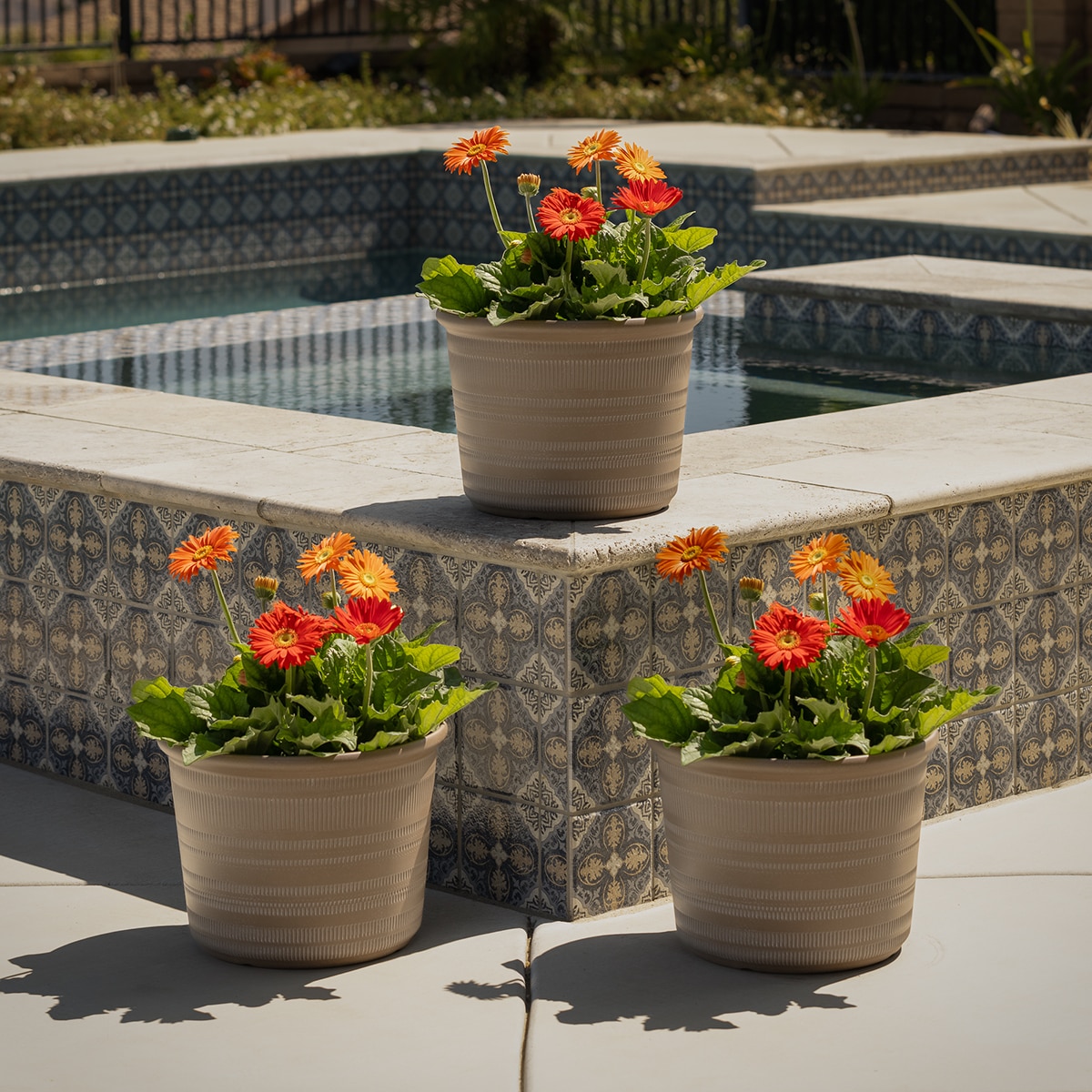 포럼 레진 화분 3개 포럼 레진 화분 3개