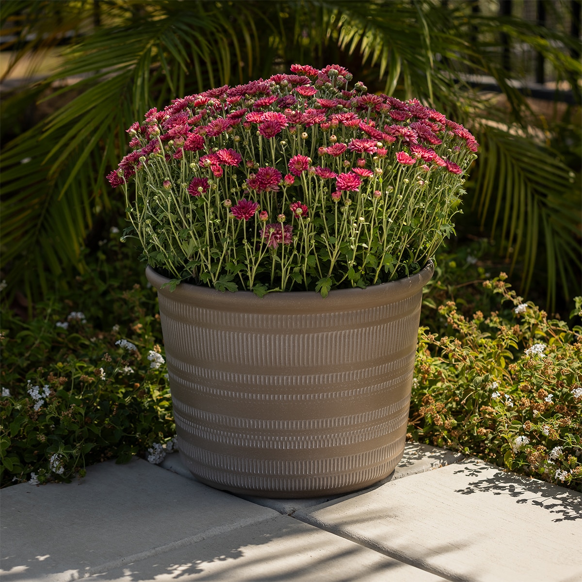 포럼 레진 화분 3개 - 모카 포럼 레진 화분 3개 - 모카