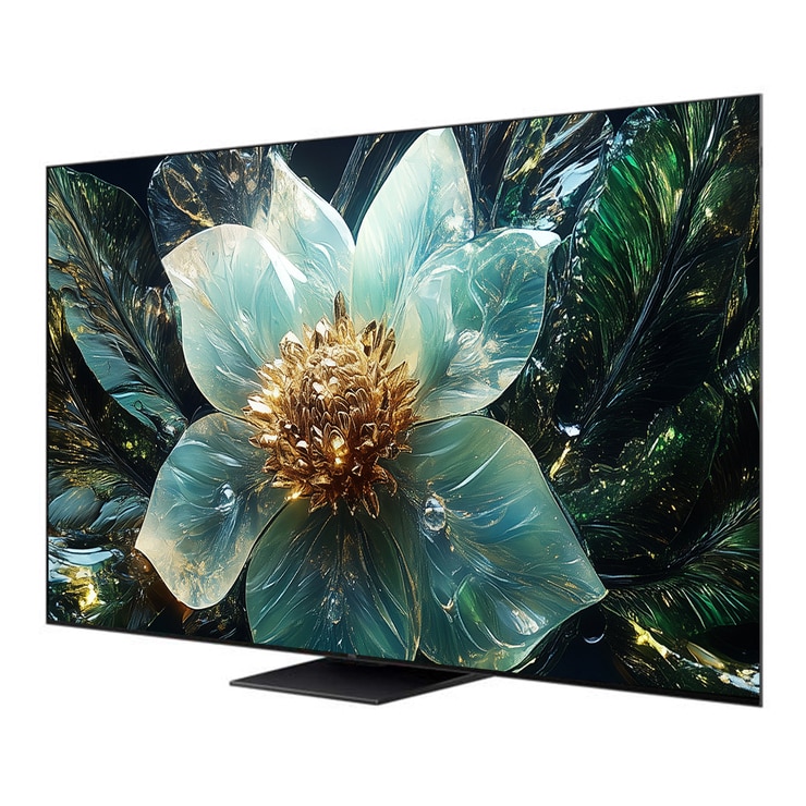 TCL QD-Mini LED TV Q9B 165cm (65), 스탠드형