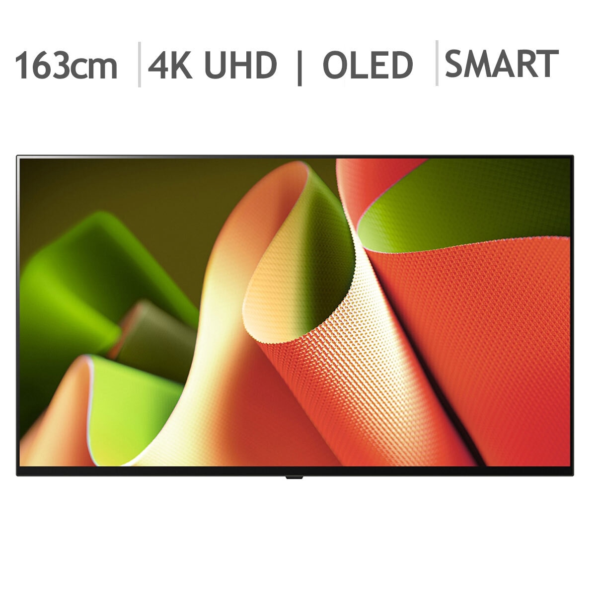 엘지 OLED TV 65B4SNA 163cm (65) - 벽걸이형