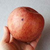 못난이 사과 5kg 못난이 사과 5kg