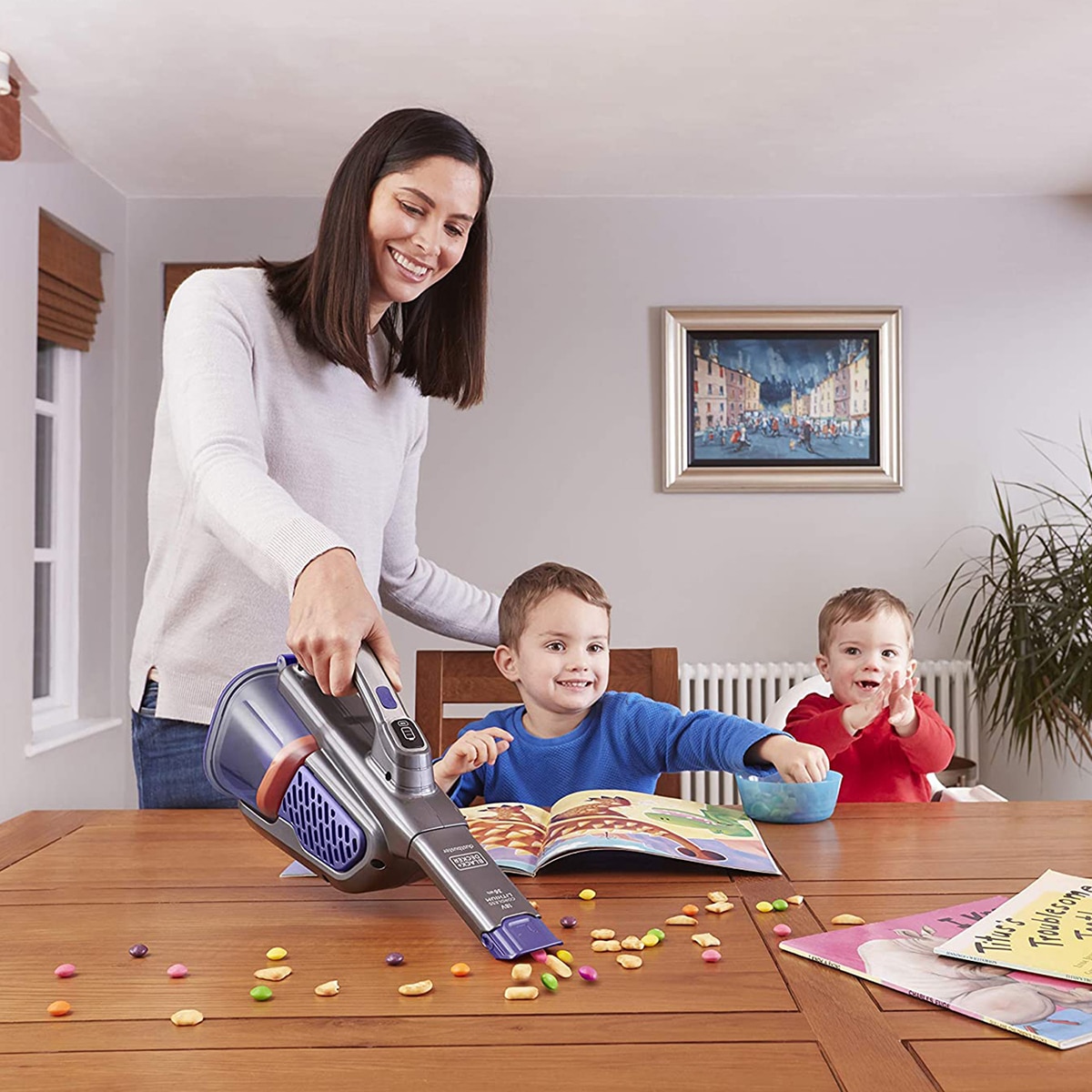 블랙앤데커 핸디 무선 청소기 + 펫브러쉬 BHHV520BFP07