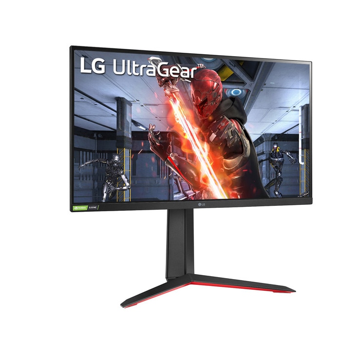 LG UltraGear FHD Gaming Monitor